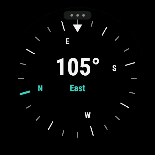 Compass on a Garmin watch