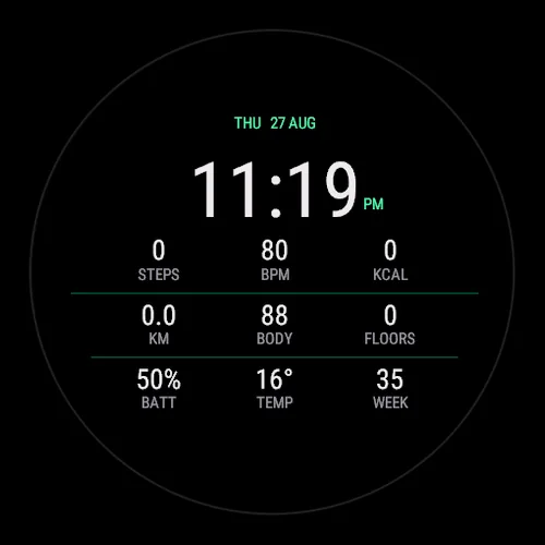 Ledger on a Garmin watch